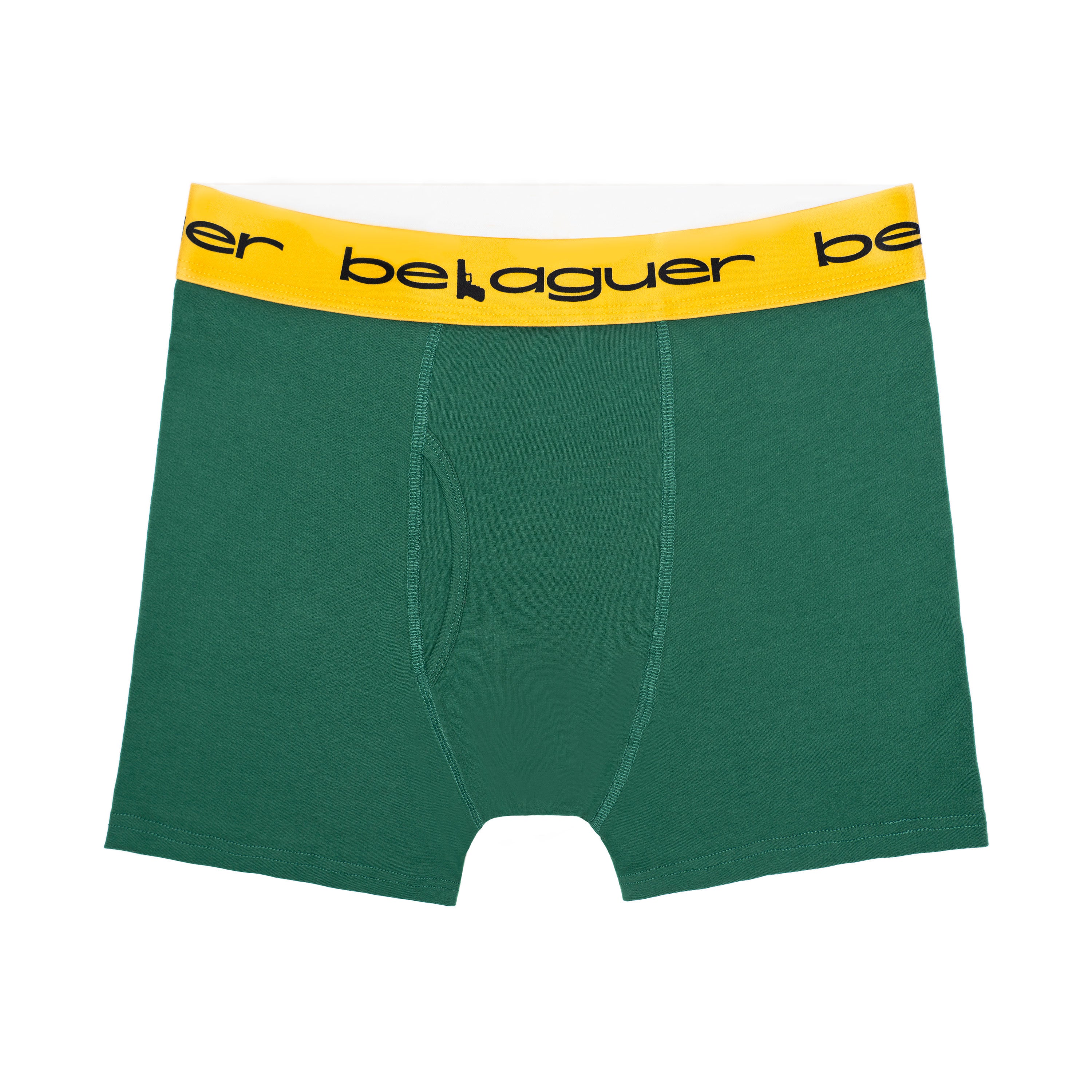 BLGR Briefs